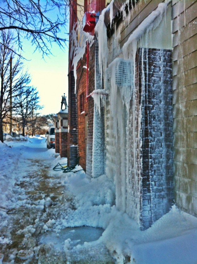 Photo1